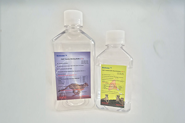  8006-6006|Biofuraw™ D(zhun)Ĥ_Һ10X