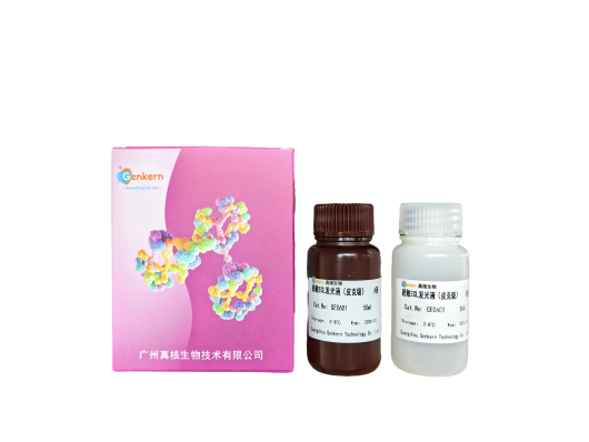 超敏ECL發光液